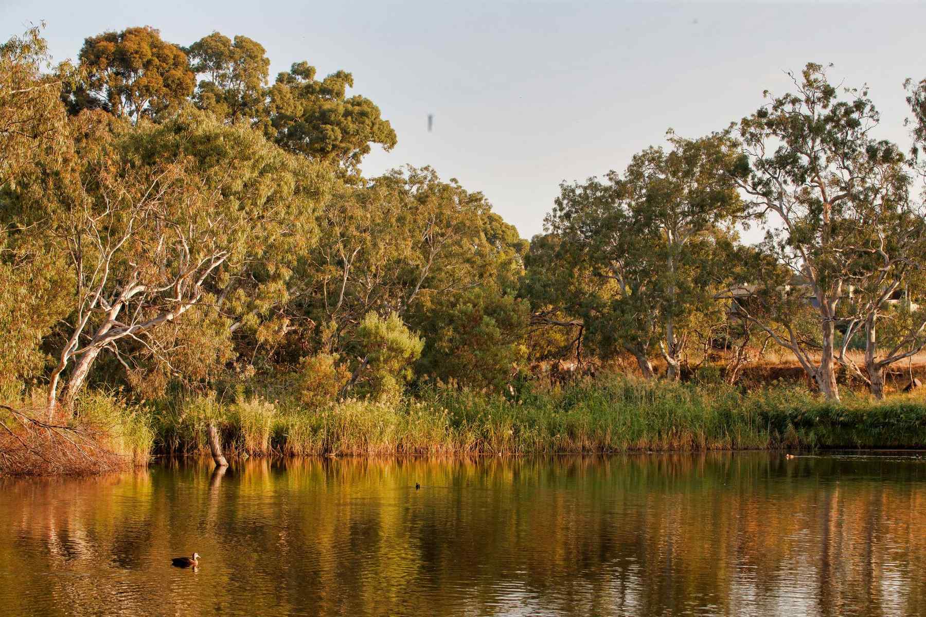 [Land for Sale] Riverwalk, Werribee OpenLot